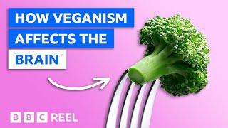 How a vegan diet affects your brain – BBC REEL