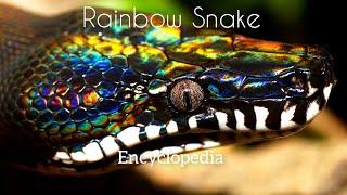 Ranibow Snake / Encyclopedia Channel#snake #snakes #serpent #viper #anaconda #anacondasnake