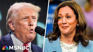 Trump 'blowing it' by continuing to bash Harris and calling her a 'horror show'