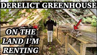 Off Grid Green House Find - Should I Take it On | Gardening In Scotland 󠁧󠁢󠁳󠁣󠁴󠁿