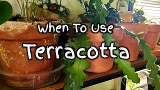 When To Use Terracotta | What Plant Goes Best With Terracotta