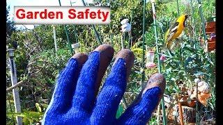 Simple Garden Safety Tips as We do Food Gardening Growing Vegetables-Compost in Place-Pot Plants