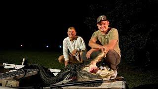 Epic gator hunt! Monster Florida gator