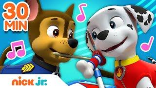 PAW Patrol 30 Minute Sing Along Song Compilation!  | Nick Jr.