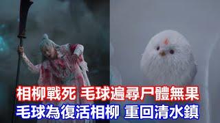 【ENG SUB】《長相思》番外2：相柳戰死，毛球遍尋尸體無果，流落大荒，毛球為復活相柳，重回清水鎮，意外遇故人