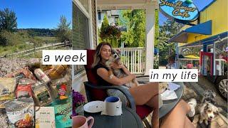 a week at home, trader joes haul, chit chat, beach day  | weekly vlog