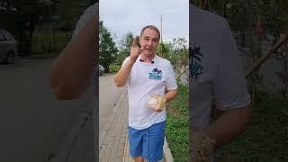Наш Чак-чак набирает популярность в Грузии! Чак-чак в Тбилиси - Telegram @homebakery23
