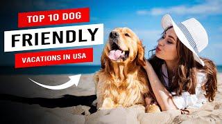 Top 10 Dog Friendly Destinations You Must Visit