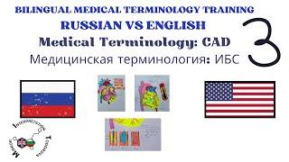 3 T Video Russian-English CAD Bilingual medical terminology and Vocabulary Training