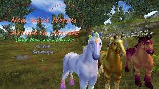 Buying The New Wild Horses!!! |Arisha Sourhope|