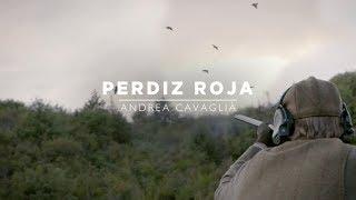 Perdiz Roja - Hunting Red-Legged Partridge in Spain