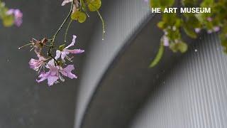 和美术馆的阴晴雨晦 | Light and Shadow at He Art Museum