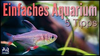 5 Tipps für ein pflegeleichtes Aquarium | AquaOwner