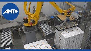 Conveyance and robotic palletizing - Wolverine food packaging