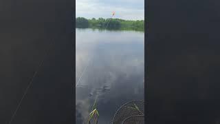 Супер ПРИКОРМКА!Хороший улов! #рыбалка #реки #природа #fishing