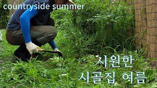 시원하게 보내는 시골 이야기 /초복에 초계 국수 와 바싹 불고기/상추 김치 담그기