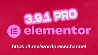 Elementor Pro 3.9.1 [Changelog] WordPress Plugin Website Builder