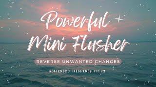  Powerful Flusher ~ Reverse Unwanted Changes | Blockage Removal | 417Hz ~ Relaxing Ambient Music