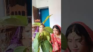 @@## vat puja karte hue hindi song