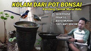 KOLAM SEDERHANA ANTI BOCOR DARI POT BONSAI | KANDANG TERNAK MURAI BATU | @chokinside | Episode 22