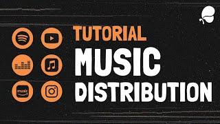 How to upload and distribute music with iMusician | Tutorial