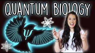 Quantum Biology [Part 3] - How Birds (Might) Navigate With Quantum Mechanics