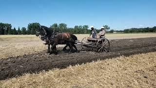 Farming with Horses in Manitoba 2022