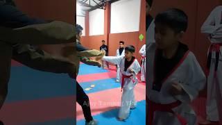 Taekwondo Board Breaking Test  #ajaytamangtkd #shorts