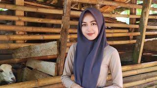 VIRAL ‼️GADIS DESA BULE PALESTINA CANTIK ALAMI, AKTIVITAS KESEHARIAN DI PELOSOK PEDALAMAN JAWA BARAT