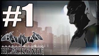 Batman Arkham Origins Blackgate Deluxe Edition Walkthrough Part 1 No Commentary PC HD