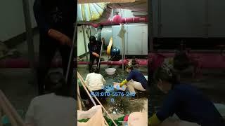 #종합청소업체 #청소스토리 #청소잘하는곳 #서울청소업체 #서울시 #서대문 #기계실 #기계실청소 #청소 #청소브이로그