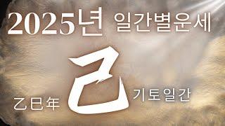 [계절사주-미리보는 운세] 2025년 기토(己)일간 운세 (을사년 기토)