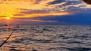 5am Charter Boat | Lake Michigan