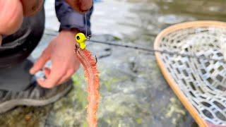 Light Rock Fishing With Fresh Ragworm!