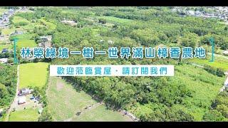 【壽豐近台11丙足坪農地】14F245│售價：767萬│區域：壽豐鄉│地坪：783.363坪│永慶花蓮吉安中山店