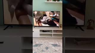 Фрагмент эфира TLC Russia (20.12.2022)
