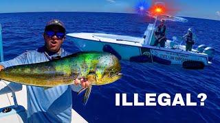 THE COPS WANTED MY FISH! Patch Reef Fishing Florida Keys