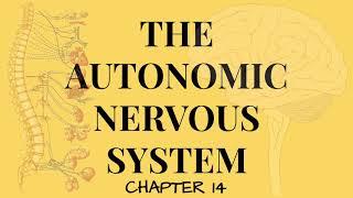 Chapter 14 The Autonomic Nervous System FULL Lecture