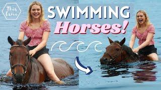 Swimming with Horses! | This Esme AD