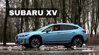 Subaru XV: jeigu planuose daug neasfaltuotų kelių