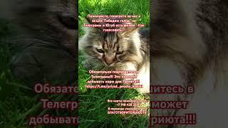24 мая 2025 г.