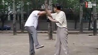 Taiji Push Hands originally called 'Twisting hands' - Master Huai Hsiang Wang