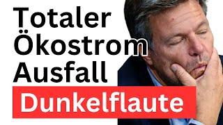 100 % Ökostrom-Ausfall: Deutschlands Strom-Katastrophe und Grüne-Strom-Lügen!