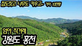 (직거래 매물) 산에 집도 짓고 나무도 키우고 은퇴 후 2막 준비 임야 직거래 매물 소개(강원도 홍천군 임야매매)