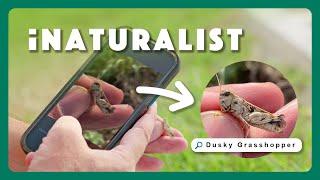 Identify Nature With iNaturalist