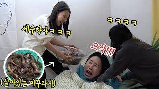 SUB)  게으른 동생 미꾸라지 모닝콜로 참교육해줌ㅋㅋㅋㅋ(feat.돼지공룡) 레전드리액션 나옴ㅋㅋㅋㅋㅋㅋㅋ