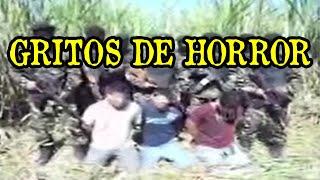 GRITOS DE HORROR | CASO REAL