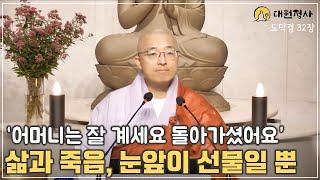 [83] 어머니는 잘 계세요. 돌아가셨어요. 삶과 죽음이 선물, 눈 앞이 선물일 뿐