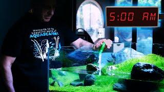 MORNING SHIFT at Green Aqua | Planted Aquarium Maintenance