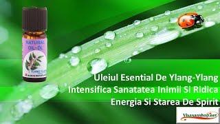 Uleiul Esential De Ylang Ylang Intensifica Sanatatea Inimii Si Ridica Energia Vivasan